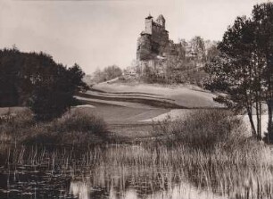 Berwartstein, Burg
