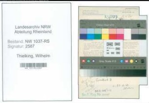 Entnazifizierung Wilhelm Thielking , geb. 21.06.1900 (Reg.Inspektor)