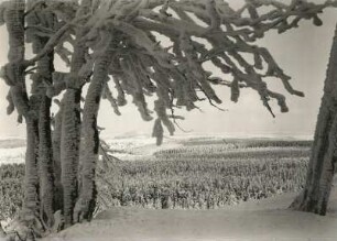 Altenberg. Erzgebirge. Blick vom Kahleberg auf die Stadt. Im Hintergrund der Geisingberg