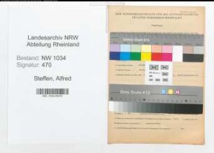 Entnazifizierung Alfred Steffen , geb. 08.06.1890 (Hauptmann)