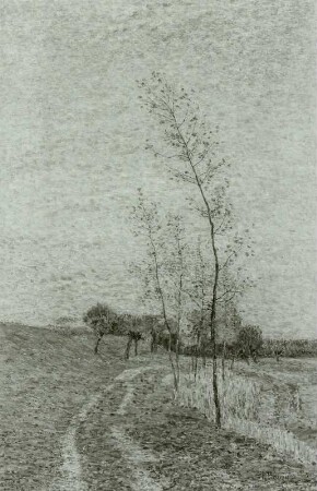 Wiesenweg