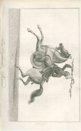 Ein Cassaischer Reuter
