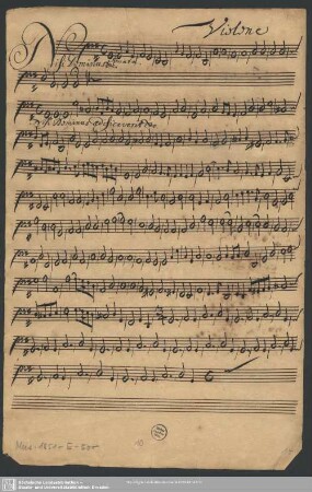 Violone
