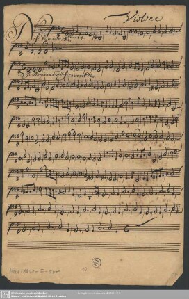 Violone