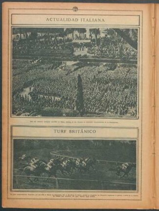 Turf británico