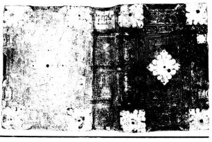 Antiphonarium cum hymnis et literis pictis - BSB Clm 17010