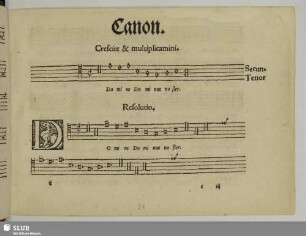 Sermisy, Claudin de: Domine Dominus noster [Beginn]