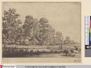 [Ein Bauernhof inmitten von Bäumen hinter einem Feld und ein Mädchen eine Kuh melkend; Field before farm amid trees: girl milking a cow]