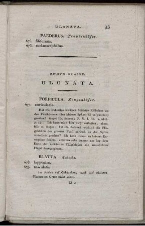 Zwote Klasse. ULONATA