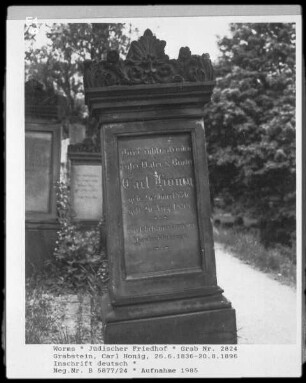 Grabstein von Carl Honig (gestorben 1896.08.20)