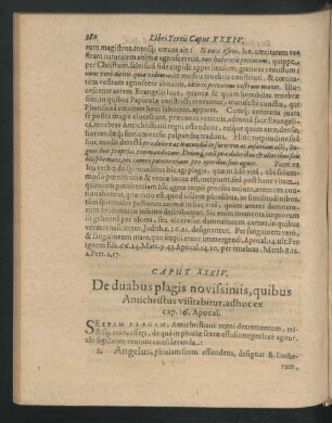 Caput XXXIV. De duabus plagis novissimis, quibus Antichristus visitabitur, adhuc ex cap. 16. Apocal.