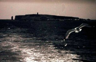 Helgoland: Abfahrt, Insel und Möwen im Kielwasser
