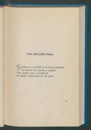 Una gallina pasa