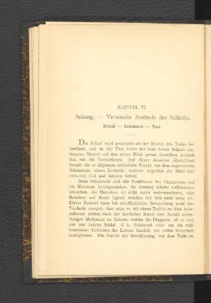 Kapitel VI. Anhang.- Verwandte Zustände des Schlafes.