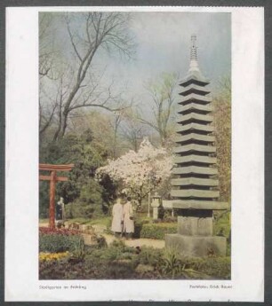 Stadtgarten im Frühling