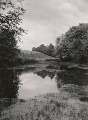 Helfenberger Grund, östlich von Dresden. Teich oberhalb von Gut Helfenberg