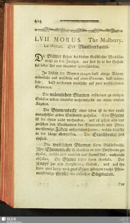 LVII. Morus. The Mulberry. Le Murier. Der Maulbeerbaum