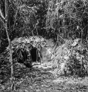 Frau vor einer Hütte : Frau vor einer Rundhütte im Wald