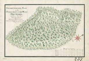 Geometrischer Plan von dem herrschaftlichen Wald Daetschel, Sulzer Forst