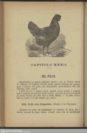 Capitolo XXXII. Del pollo