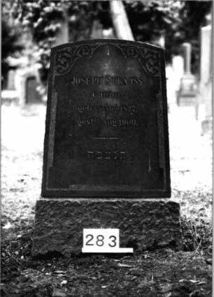 Grabstein 283 (Index: 100091569) Material: Granit, Schriftfeld poliert Zustand: gut Maße HxBxT: 102x67x28 cm Beschreibung: aufgesockelte Stele, Segmentbogenabschluß, erhabenes Schriftfeld Symbolik: Rankenornamentik: Grabstein 283