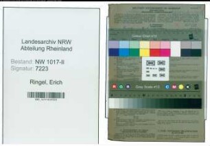 Entnazifizierung Erich Ringel , geb. 20.09.1904 (Vorarbeiter)