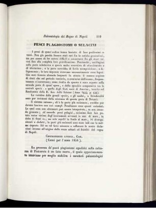 Pesci Plagiostomi O Selacini