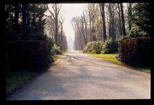 Sanssouci Hauptweg 20.4.77.