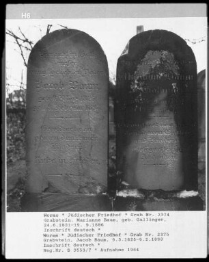 Grabstein der Marianne Baum (gestorben 1886.09.19) (geborene Gallinger) und Jacob Baum (gestorben 1898.02.09)