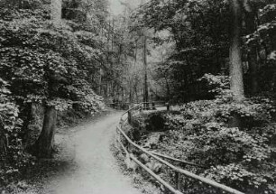Pillnitz (Dresden-Pillnitz). Fußweg (1780 angelegt) im Friedrichsgrund (Meixgrund)