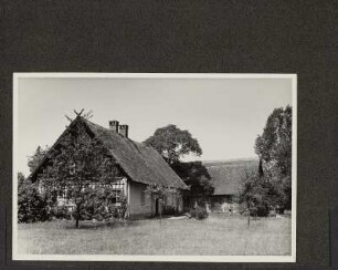 Strohbedecktes Gebäude im Spreewald. : Ze słomu skryte twarenje w Błótach