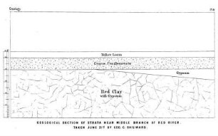 Section of strata near middle branch of Red river, taken June 21