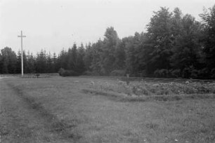 Friedhof : Schmuckkreuz und Grabkreuze auf einem Friedhof.