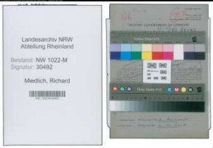 Entnazifizierung Richard Miedlich , geb. 02.01.1898 (Arbeiter)