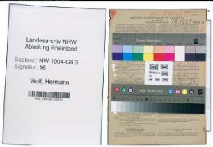 Entnazifizierung Hermann Wolf , geb. 03.08.1896 (Techn.Direktor)