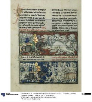 Alexander-Roman. Alexander schlägt sich mit turmhohen weißen Löwen / Wie Alexander gegen Wildschweine mit ellenlangen Hauern kämpft