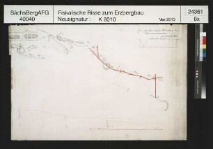 Junge Grüne Tanne Erbstolln bei Bösenbrunn