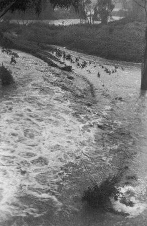 Angeschwollener Fluss : Durch Starkregen schwillt ein Fluss zu einem Strom an.