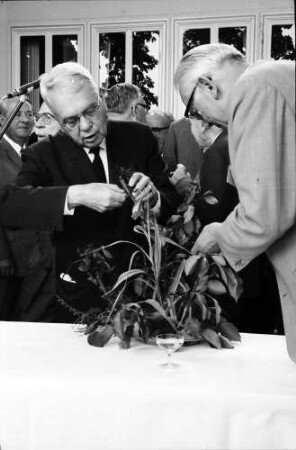 17. Tagung 1967 Chemiker; Maikäferrede: Harold C. Urey am Maikäferstrauß