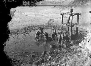 Teichfischerei : Teichfischerei Wermsdorf, Abfischen