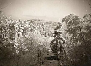 Lausitzer Bergland. Blick vom bereiften Döhlener Berg zum Czorneboh (Schleifberg)