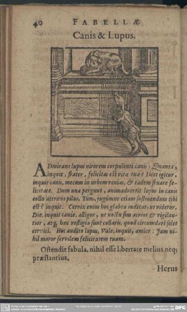 Canis & Lupus
