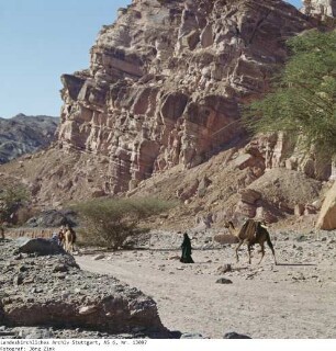 Wanderung, Aufbruch - Sinai - Familie Salem