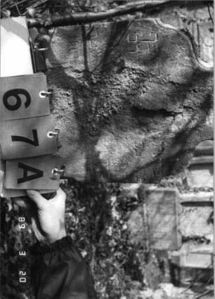 Grabstein 67 (Index: 99751805) Material: Sandstein Zustand: abgeblättert mit großem Textverlust Maße HxBxT: 92x31x10 cm Beschreibung: Stele, geschwungener Abschluß mit Palmette Symbolik: Palmette: Grabstein 67A (Nachholaufnahme)