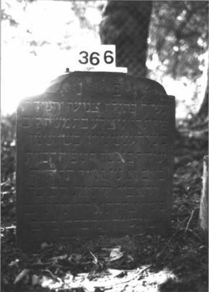 Grabstein 366 (Index: 99898377) Material: Sandstein Zustand: Abbrüche am oberen Rand, sonst gut erhalten, Stein eingesunken Maße HxBxT: 68x60x6 cm Beschreibung: Stele mit eingezogenem Flachbogenabschluss, vom Scheitelpunkt des Bogens herabhängende, eingeritzte Blüte, eingesunken Symbolik: Blüte: Grabstein 366
