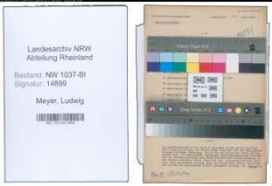 Entnazifizierung Ludwig Meyer , geb. 07.07.1889 (Vertreter)