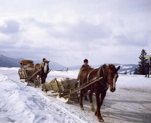 Winter in der Tatra, Auflug mit Pferdeschlitten