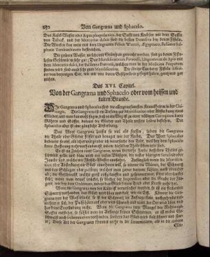 Das XVI. Capitel. Von der Gangræna und Sphacelo oder vom heissen und kalten Brande