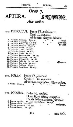 Ordo 7. Aptera