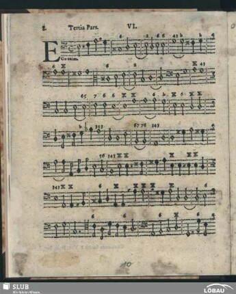 VI. Ego enim; SWV 58